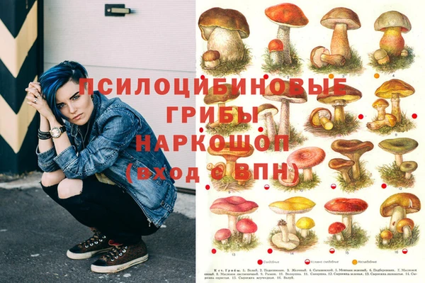 героин Заводоуковск